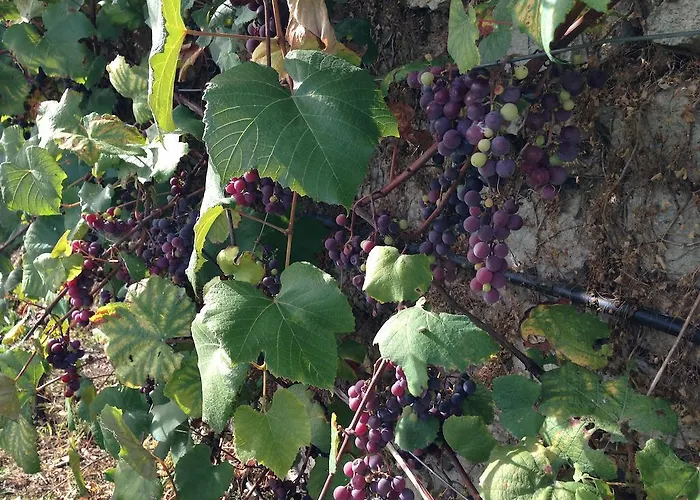 Apartment La Huertona